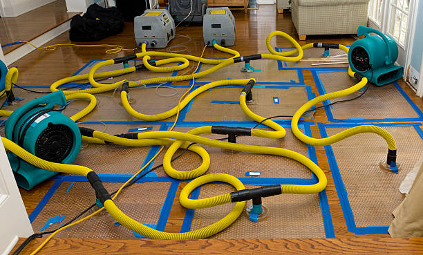Professional Sewage Cleanup technician working in New Springfield, OH